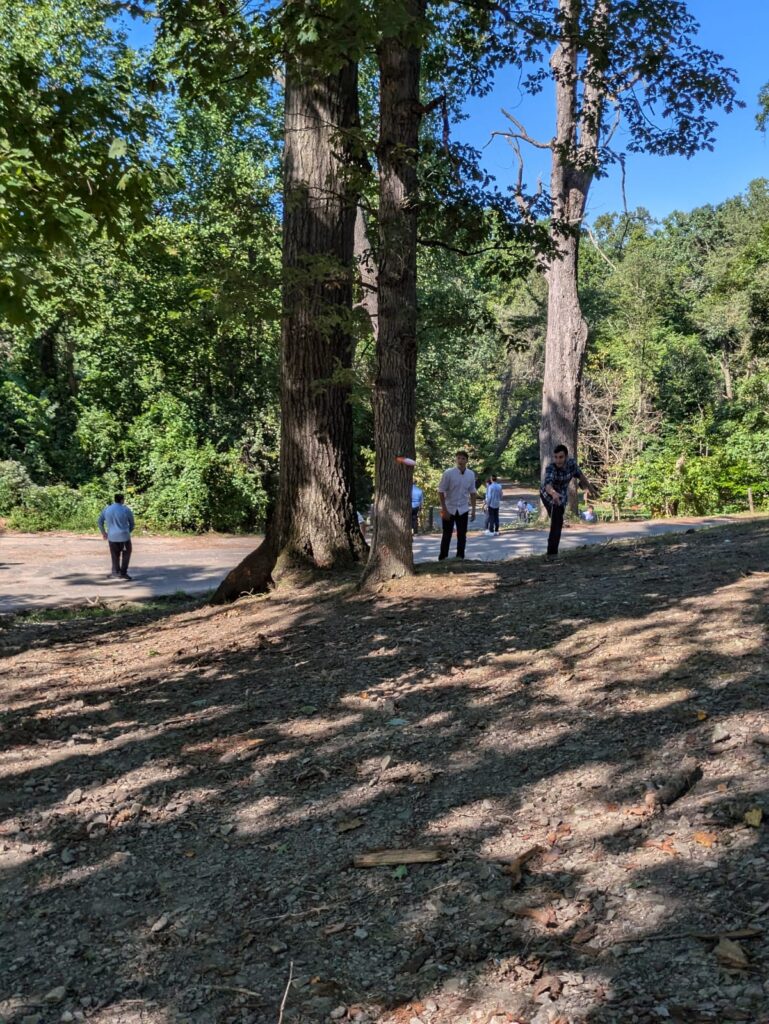Frisbee Golf 2024